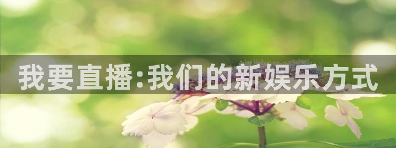 先锋娱乐官方网站下载