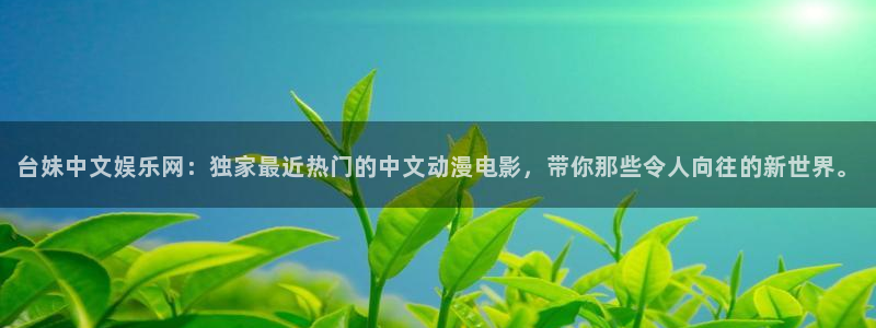 壹号电子娱乐app下载官网
