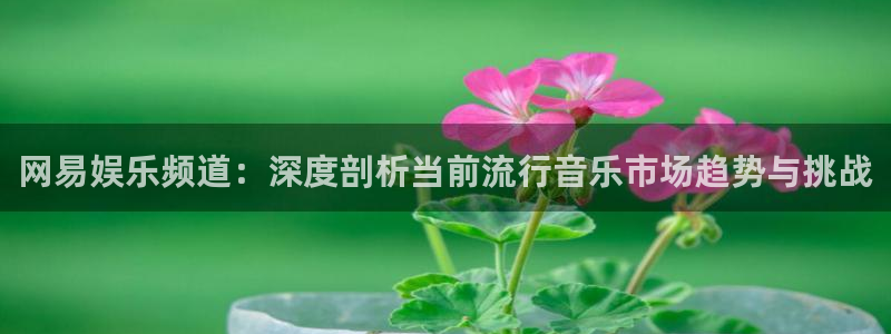 壹号大舞台官网