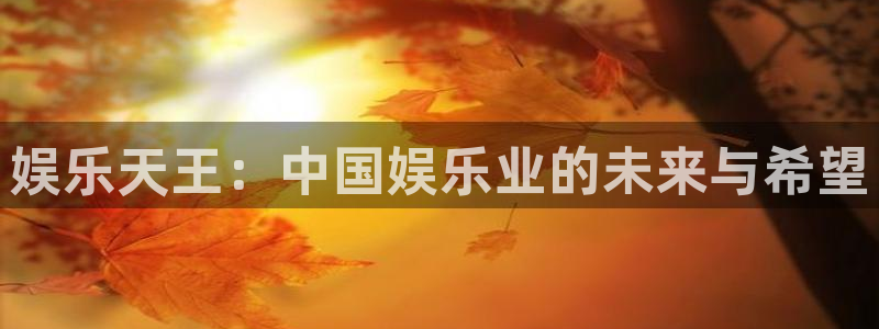 先锋娱乐app下载安装