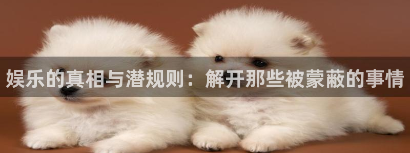 壹号大舞台娱乐app下载安装