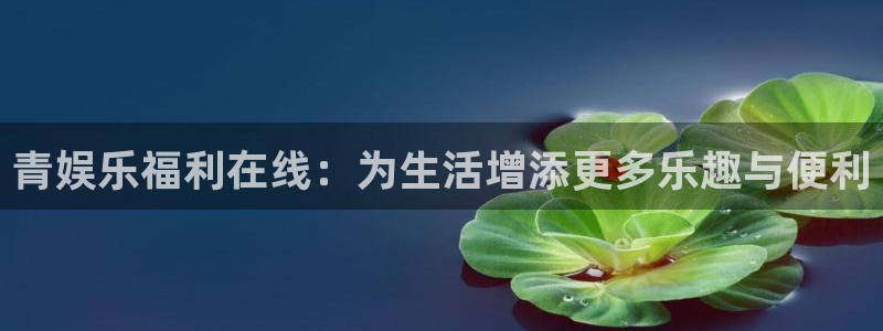 壹号大舞台娱乐app下载安装：青娱乐福利在线：为生活增添更多乐趣与便利